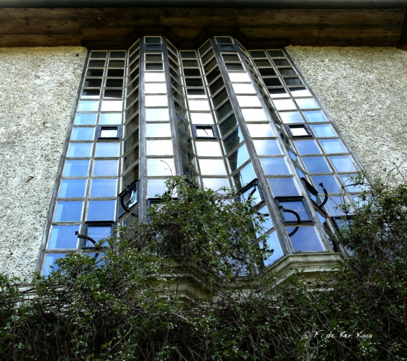 Bois des Moutiers (35) avril 2012